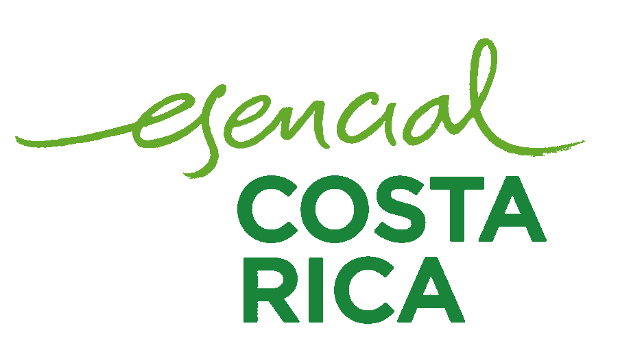 png-transparent-esencial-costa-rica-nation-branding-instituto-costarricense-de-turismo-promotora-del-comercio-exterior-de-costa-rica-almuerzo-text-innovation-logo